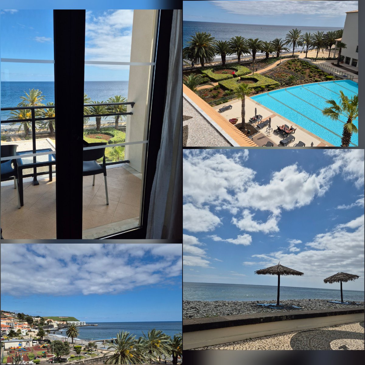 ~ ♡ Sylvia ♡ ~ tweet media