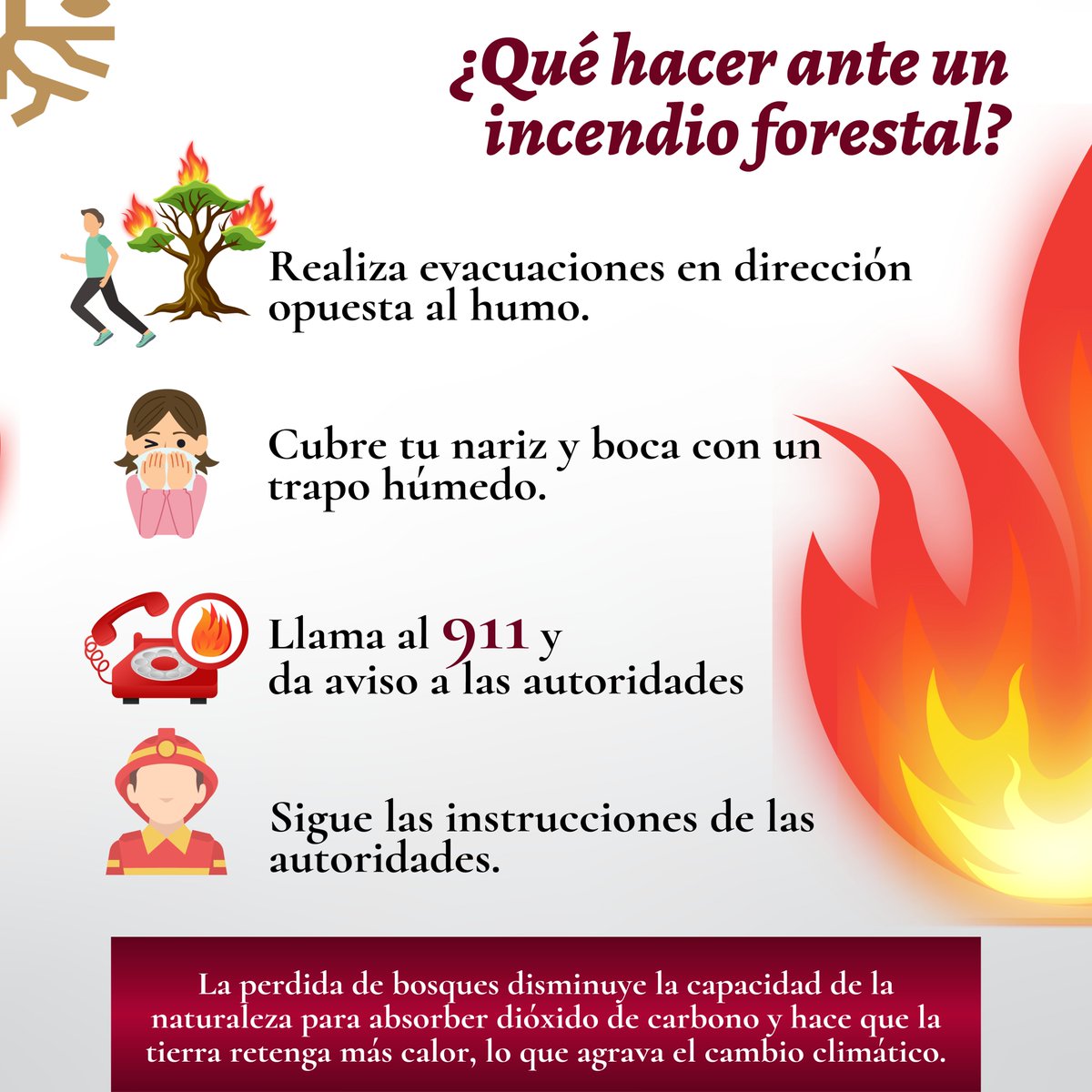 Ya inició la temporada de incendios forestales, evita el uso irresponsable del fuego. 🔥 

🙌🏻 La mayoría de los incendios forestales se pueden prevenir.

Actúa con responsabilidad: cuida nuestros bosques y cuida a Guerrero. 🫂