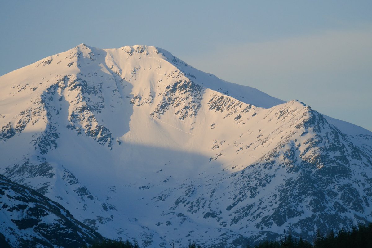 Iain Cameron tweet media