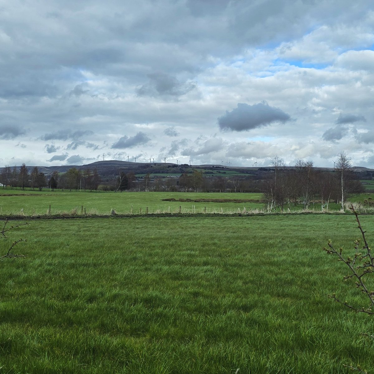 🖤 𝕋𝕚𝕟𝕜𝕤 🤍 tweet media