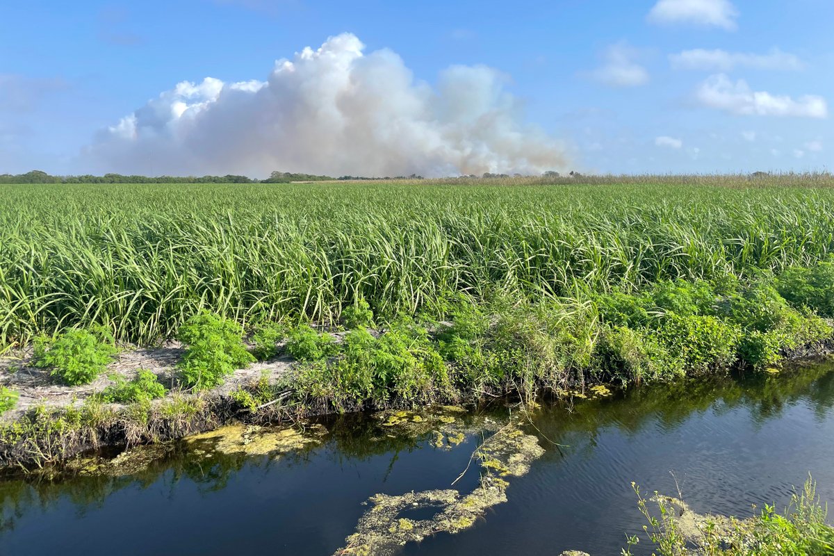 Sama Hoole tweet media