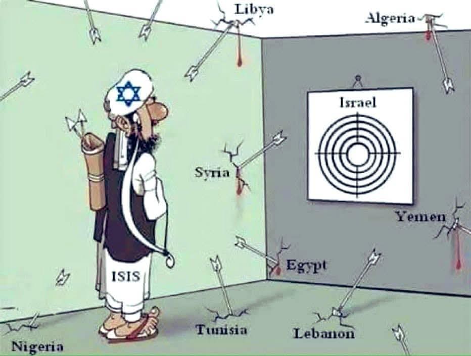 Lisa Engström🇵🇸🇸🇪 tweet media