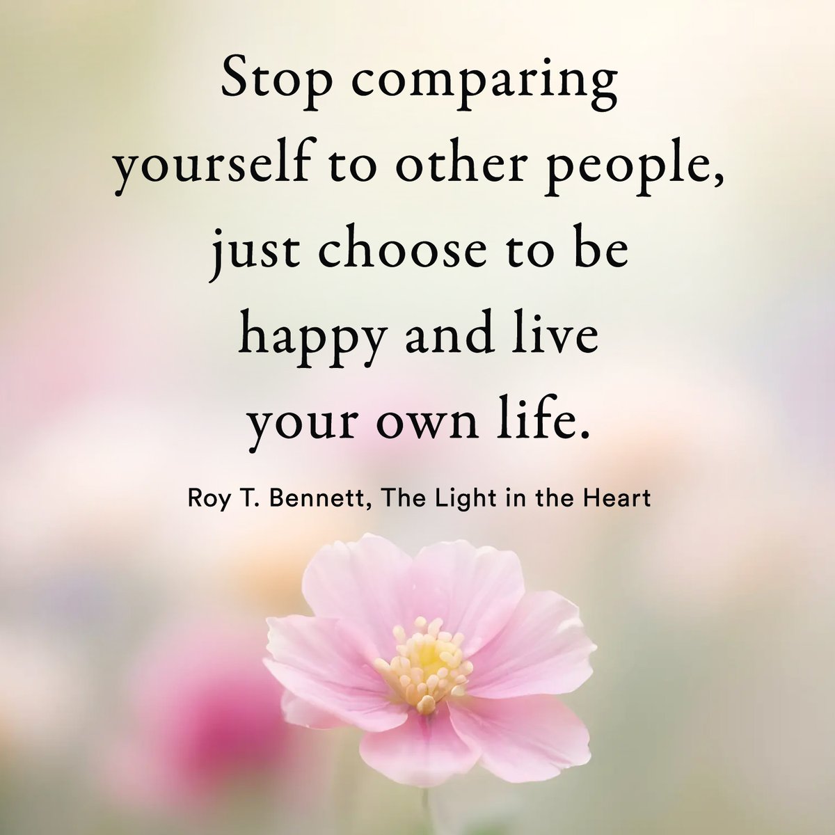 Roy T. Bennett tweet media