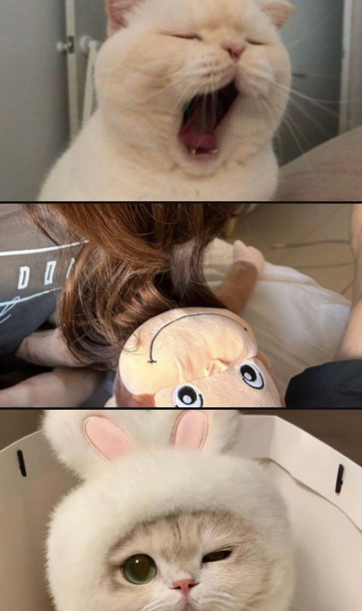 なこ tweet media