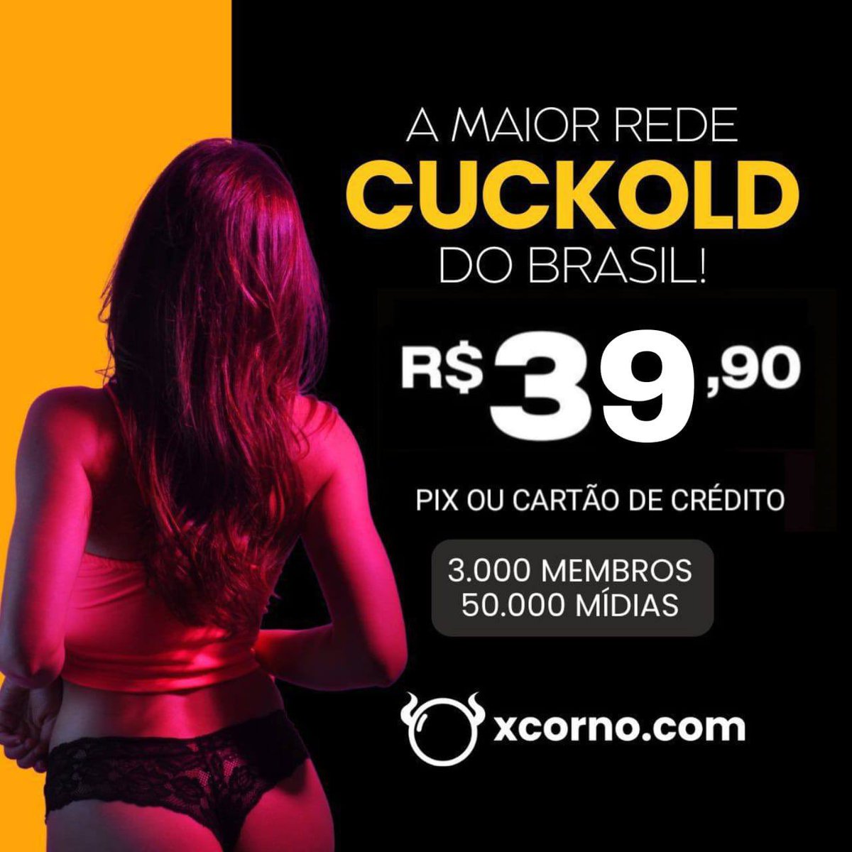 Corno Raiz tweet media