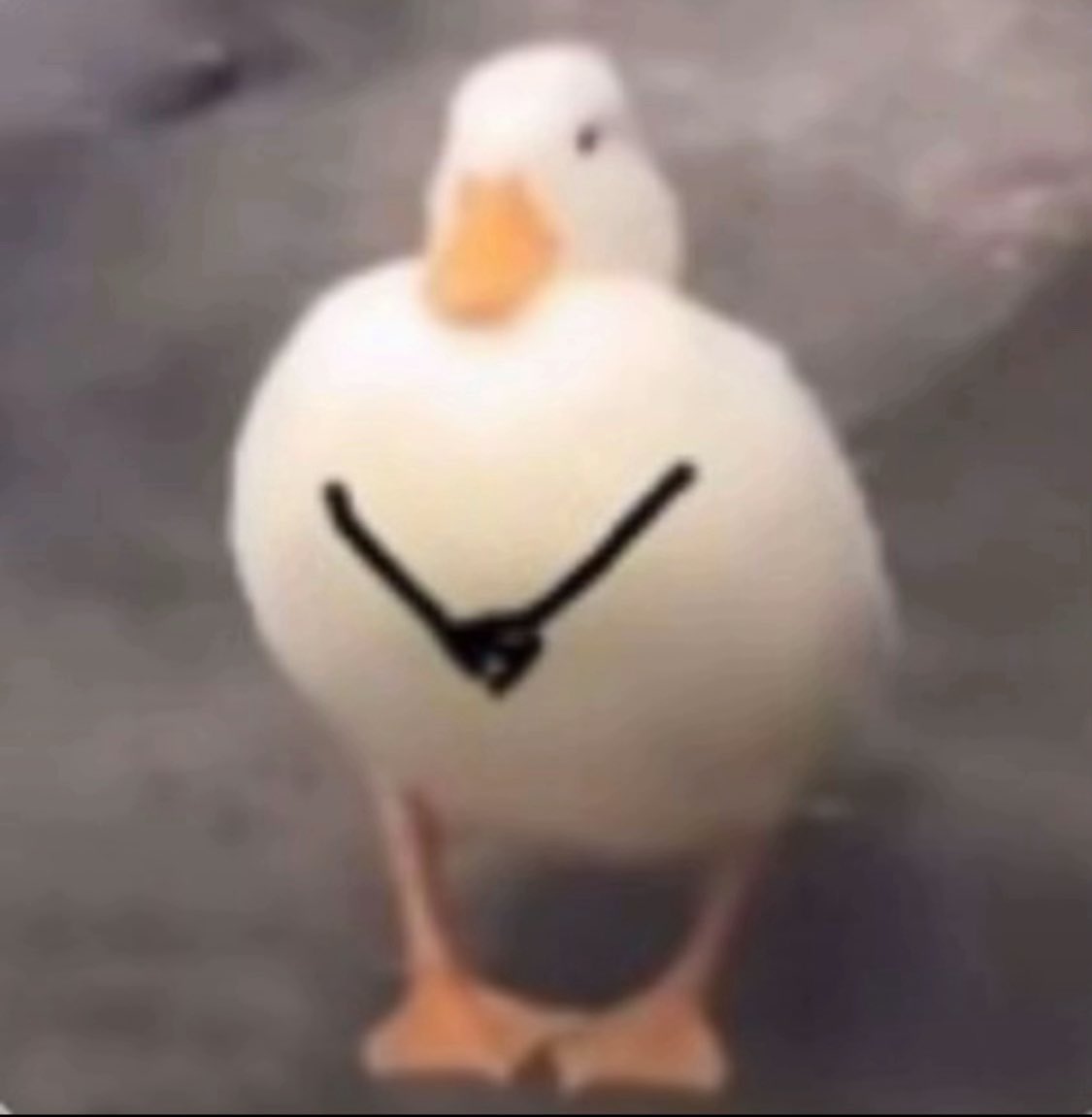 EGÈSÎ jr,😐✨ tweet media