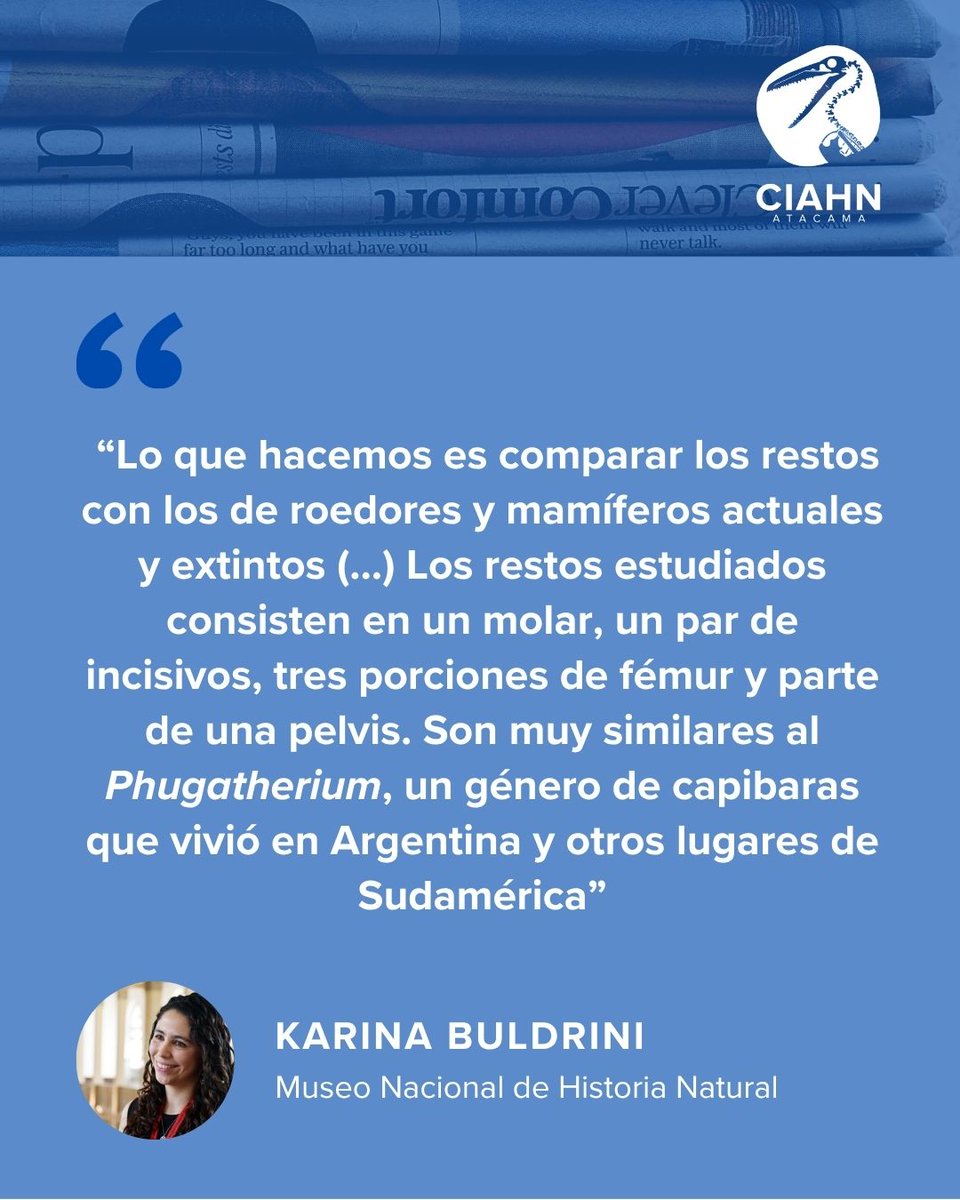 Corporación Paleontológica tweet media