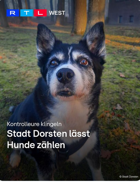 Ganesha 🇩🇪🇮🇳 tweet media