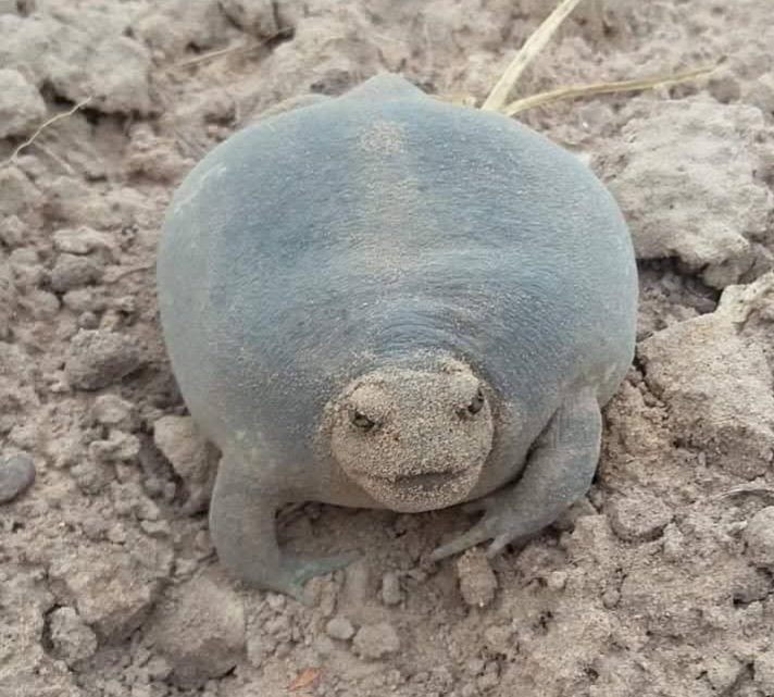 🔆🌊 tweet media