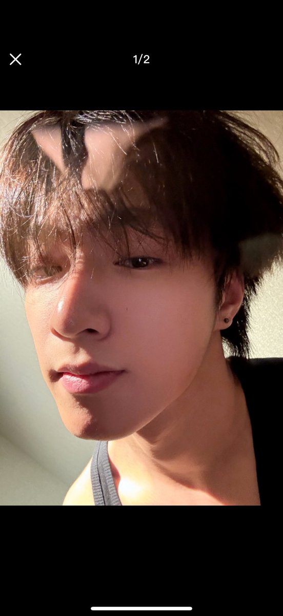 Kelebing tweet media