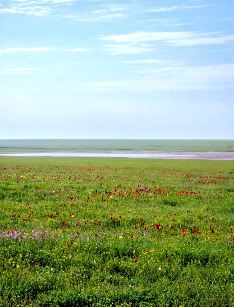 Fabiana54091377's tweet image. #Denmark #Greece #Iceland #India