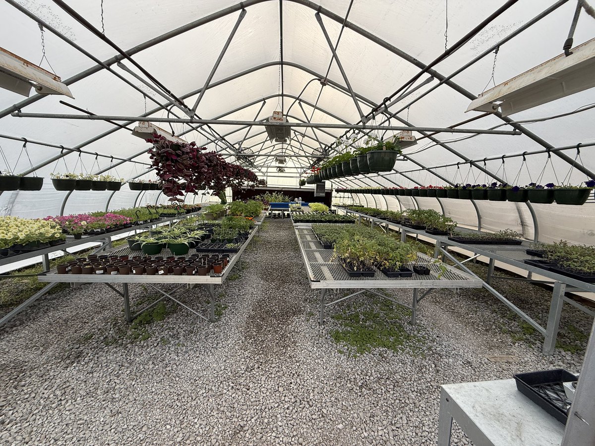 WestPointCTC's tweet photo. We still have flowers, garden plants, and ferns. Come see us, 8:00-3:00. #WPCTC #WPCSD #CTE #PulseDocumentation #TooMuchPoint https://t.co/Xn12bk21T7