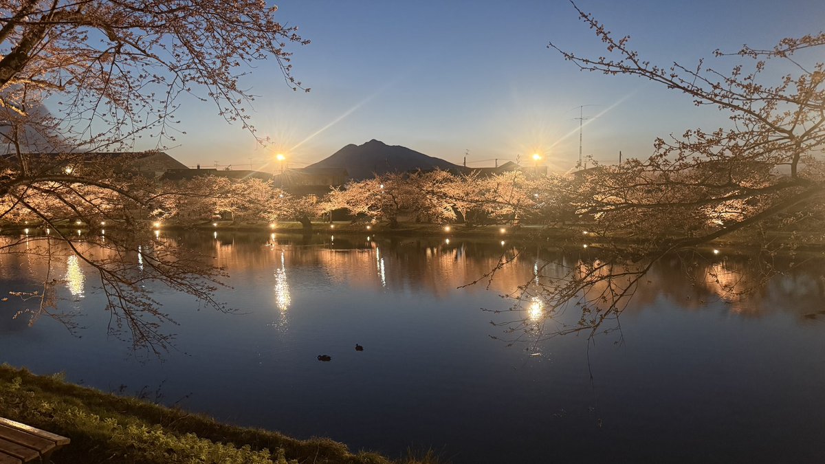 J@M(じゃむ) tweet media