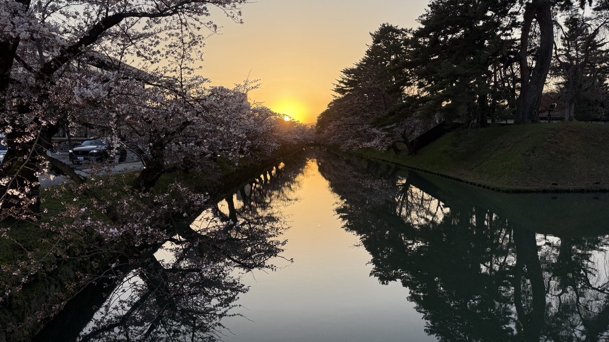 J@M(じゃむ) tweet media