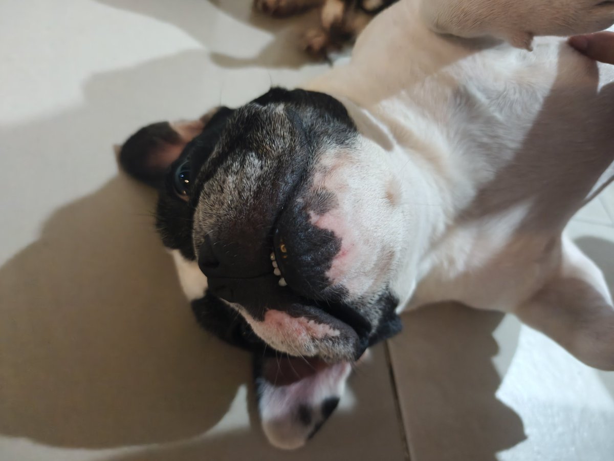 JjUnミ☘︎ ݁ tweet media