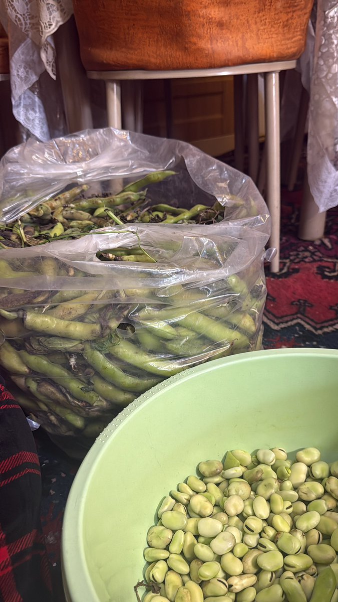 ام صگر tweet media