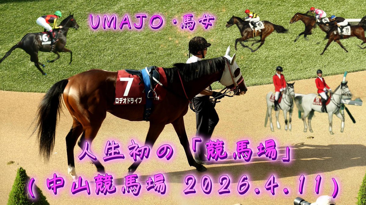 KAOUMAjo🐴～馬と人の絆～UMAJO tweet media