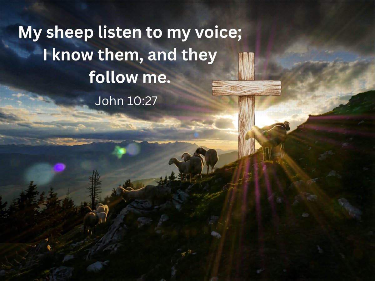 Jim McClain tweet media