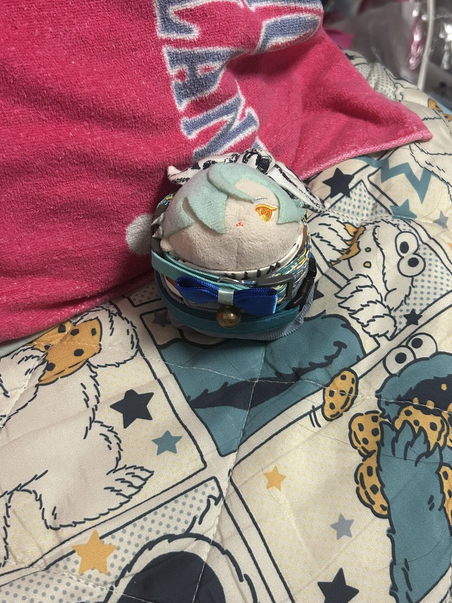 りさ@家のもちもち tweet media