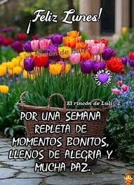 Lunes: el día perfecto para retomar nuestras metas con fuerza. La disciplina es la clave del éxito. ¡Feliz y productivo inicio de actividades para todos!                       youtube.com/live/FTbVfNOX6…