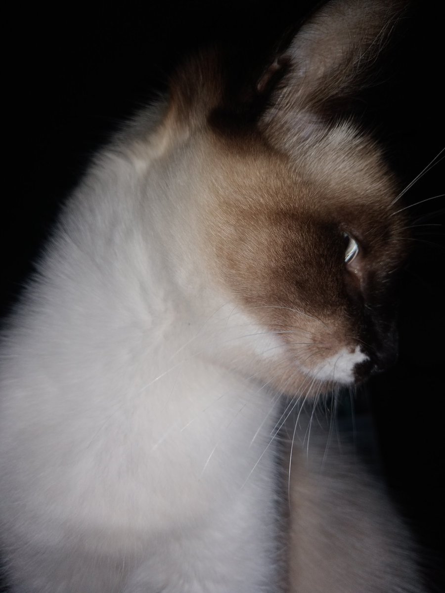 Alexandre Raiol🇮🇹🚩✊ tweet media