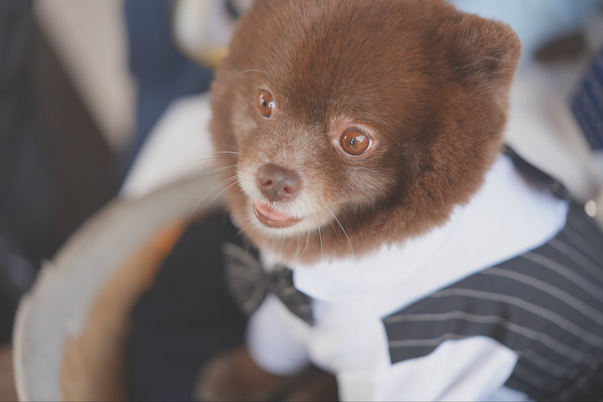 น่าร้ากมั้ยยย

YESTERDAY SPECIAL
#YesterdaySpecialEP