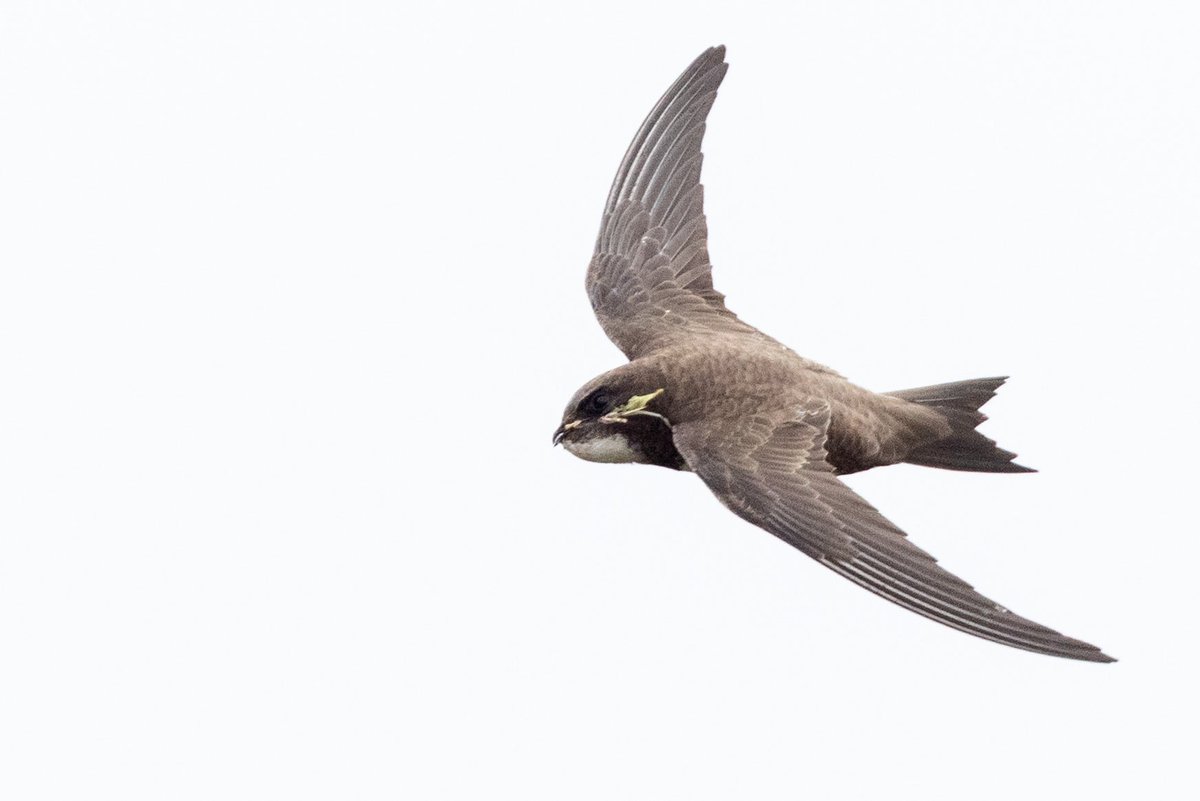 Andy Butler tweet media