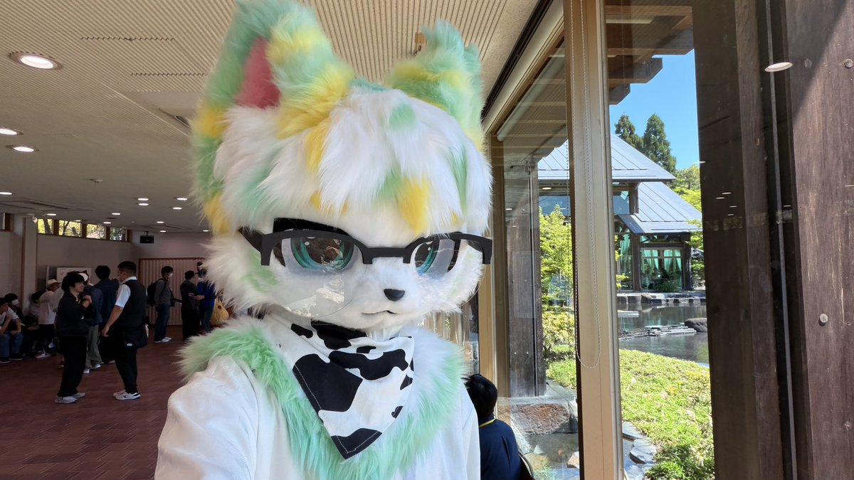 緑酒ﾘｮｸｼｭ🍵 tweet media