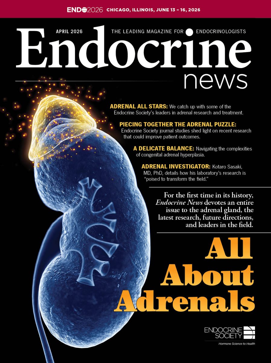 Endocrine News tweet media