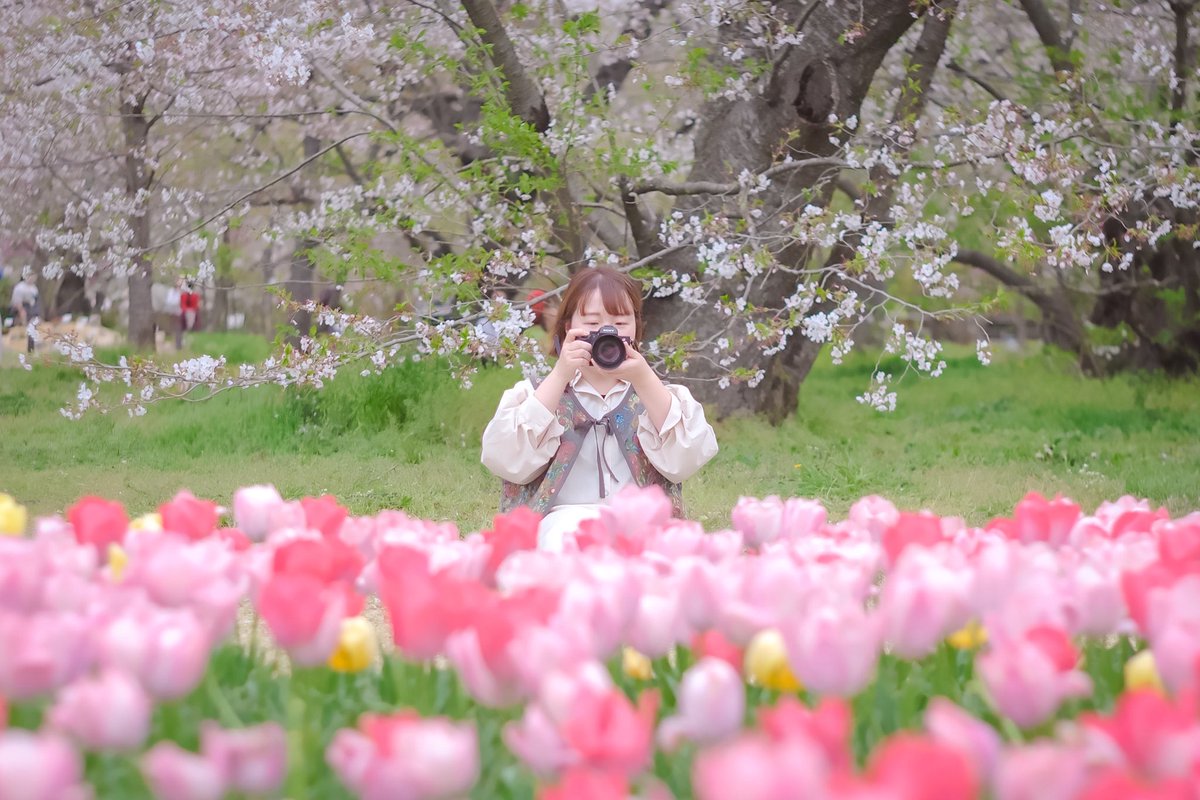 ✳︎大阪写真部✳︎
　
京都府立植物園（京都）
　
#カメラ #カメラ女子
#京都府立植物園 #チューリップ🌷