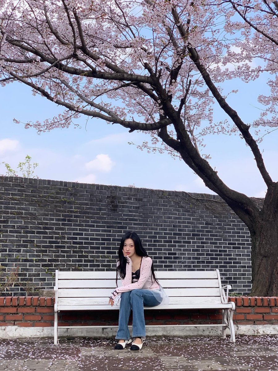 choerry zip tweet media