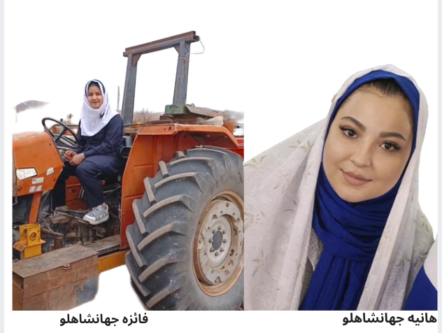 Negin Bagheri tweet media