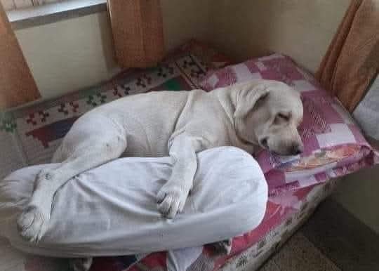 Nasty Poet tweet media