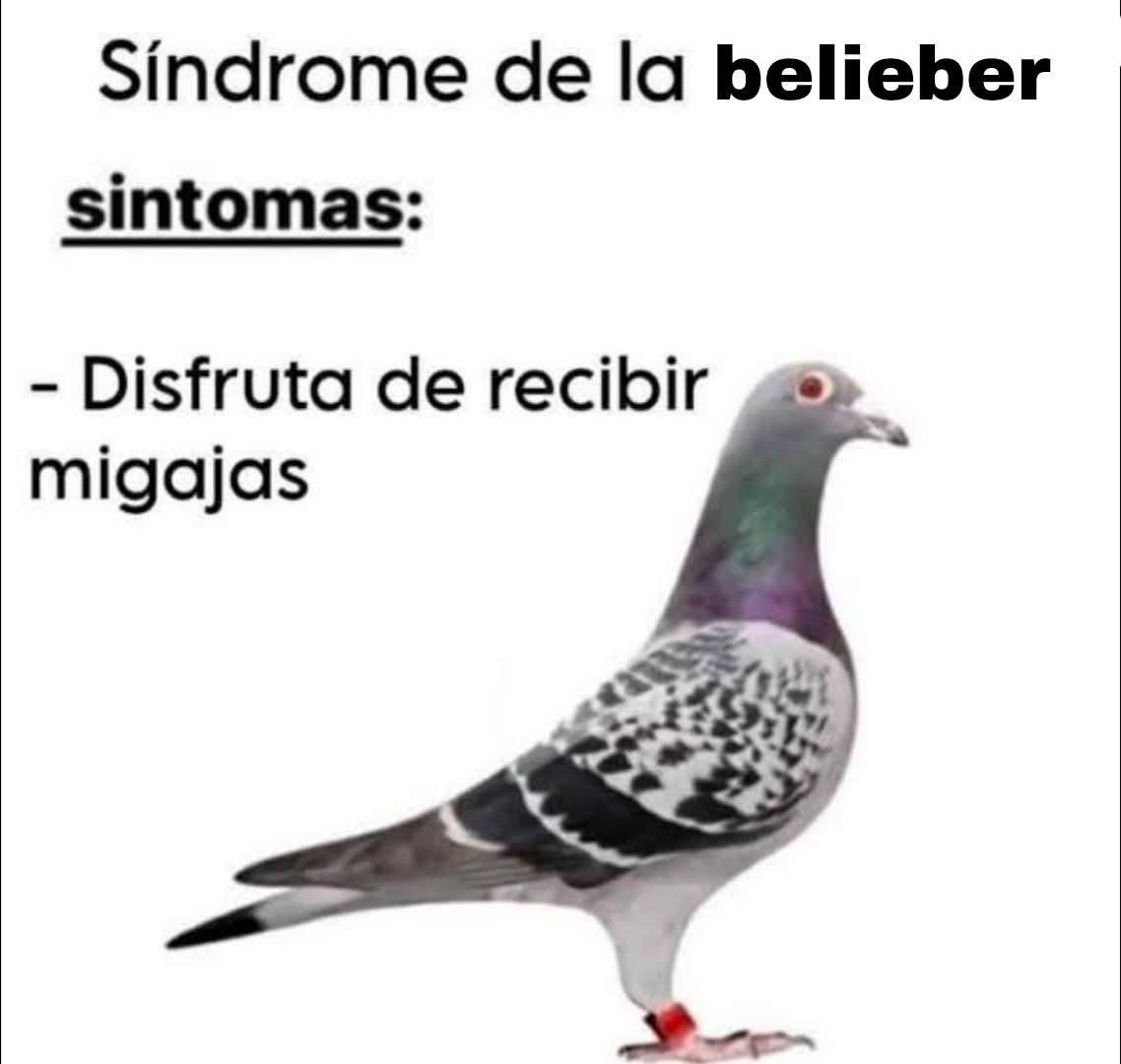 chiquistriquis tweet media