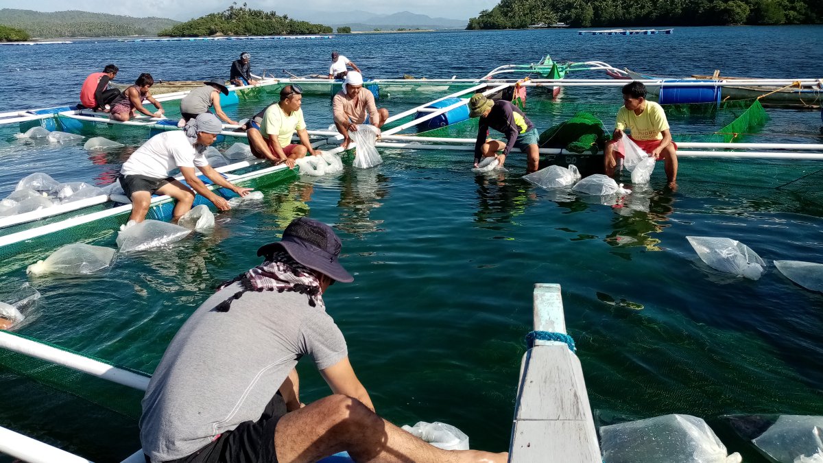 WB_AsiaPacific's tweet image. In #EastAsiaPacific, #jobs are providing pathways out of poverty. From agriculture and infrastructure to healthcare and green growth, the @WorldBankGroup is working with countries in the region to create more jobs for people and for progress.

wrld.bg/KVbr50YIbwn #WBGMeetings