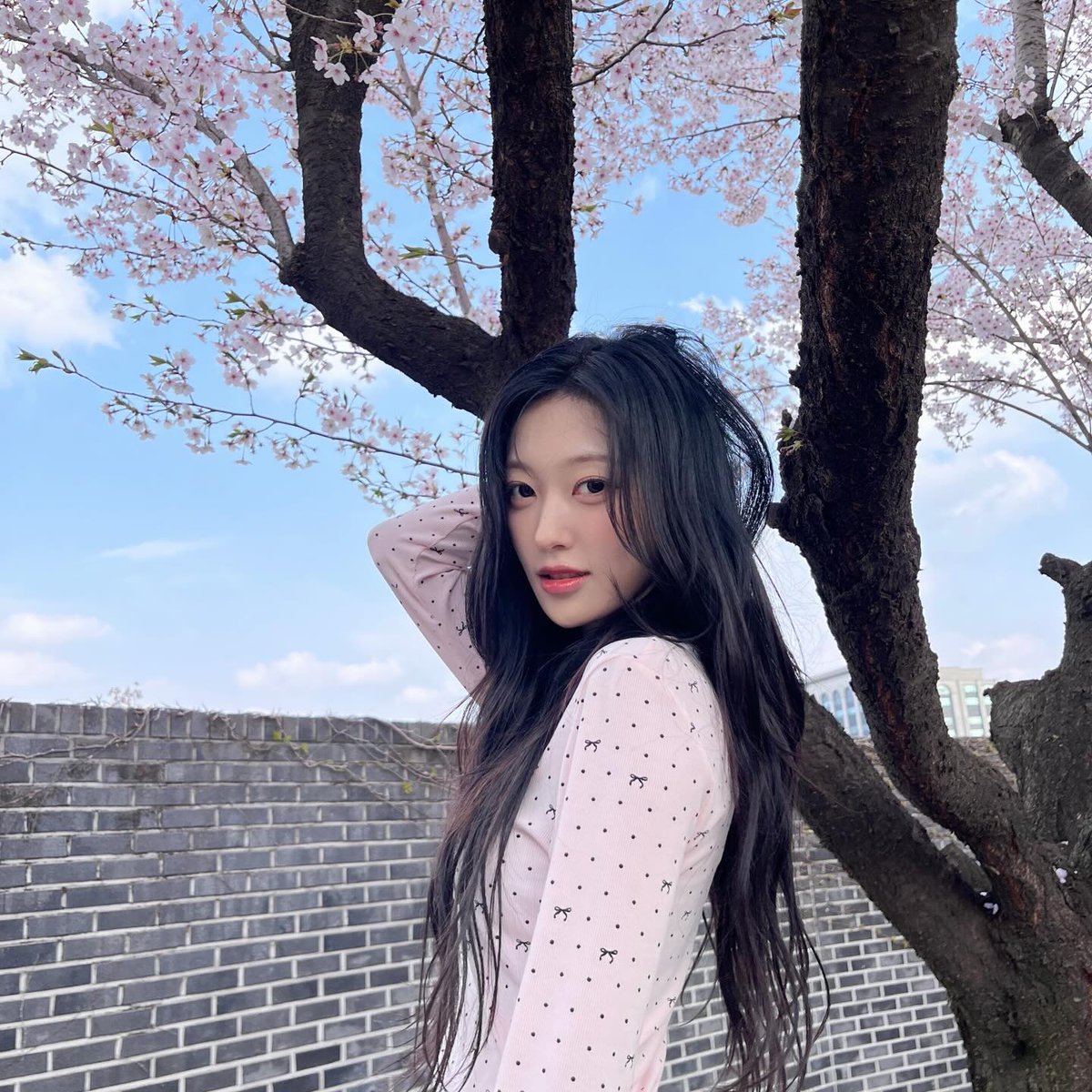 choerry zip tweet media