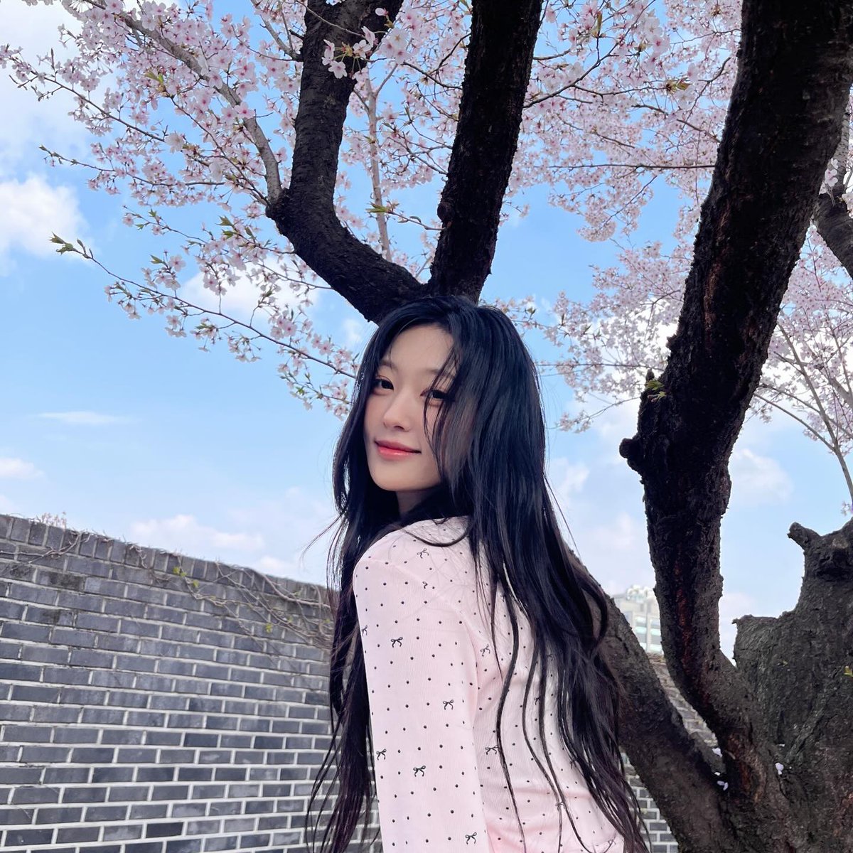 choerry zip tweet media