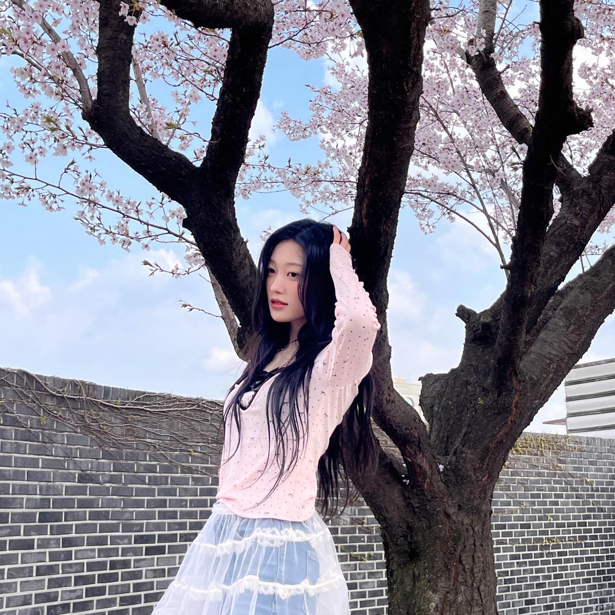 choerry zip tweet media