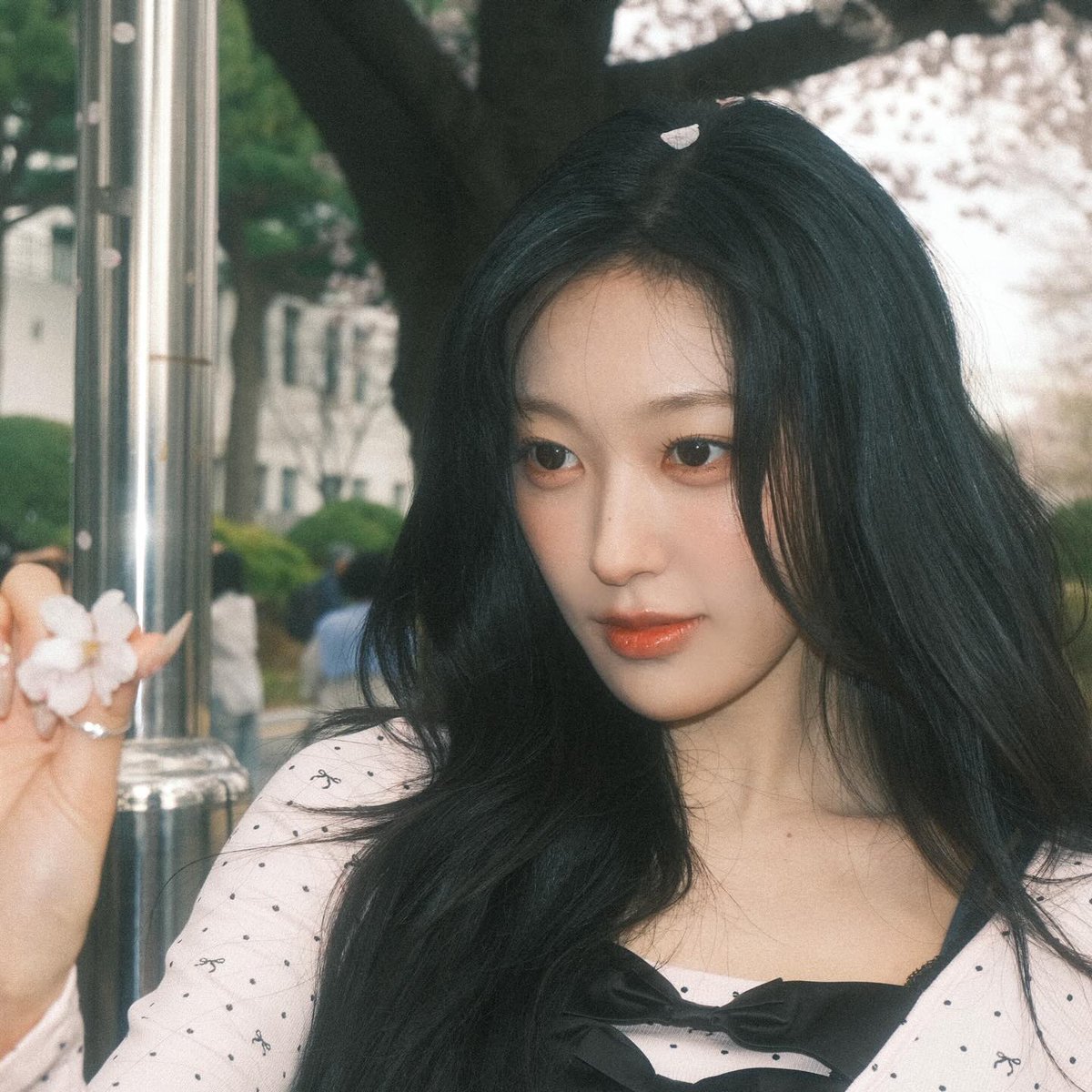 choerry zip tweet media