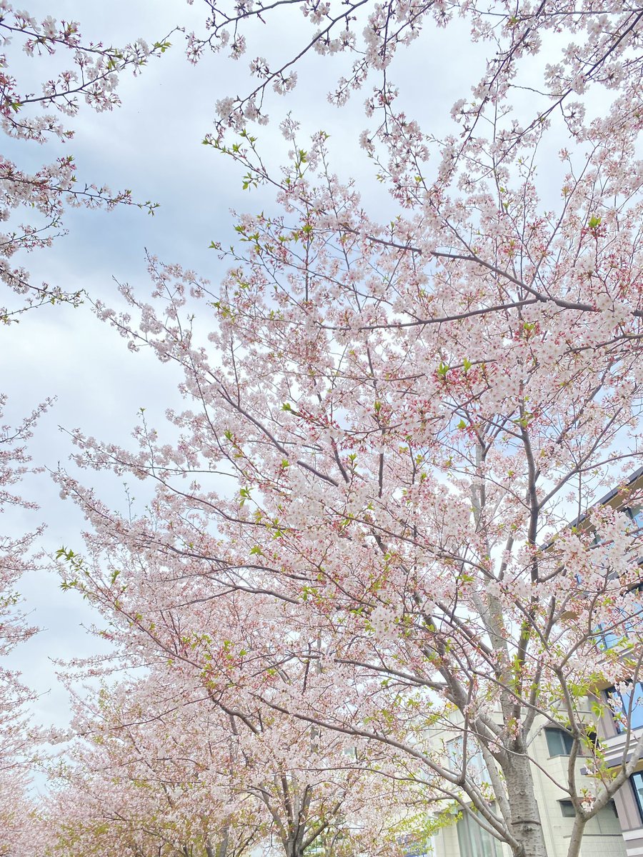 色々な考えの友達と会話し、アプデしていく感覚がたまらないし、出会えたことがすでに感謝なのに今日はさらにみんなで祝ってくれてありがたかったな¨̮♡︎

『人生常に勉強✎𓈒𓂂𓏸
　　　　常にチャレンジ✨』

一つのことだけでなく、たくさんのことに興味を持つことの大切さを改めて感じた1日✩︎⡱