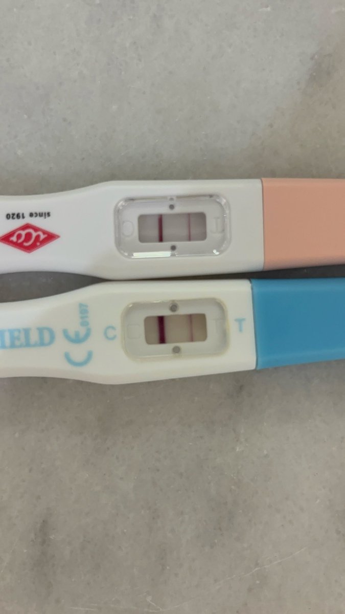 Proyecto Papas tweet media