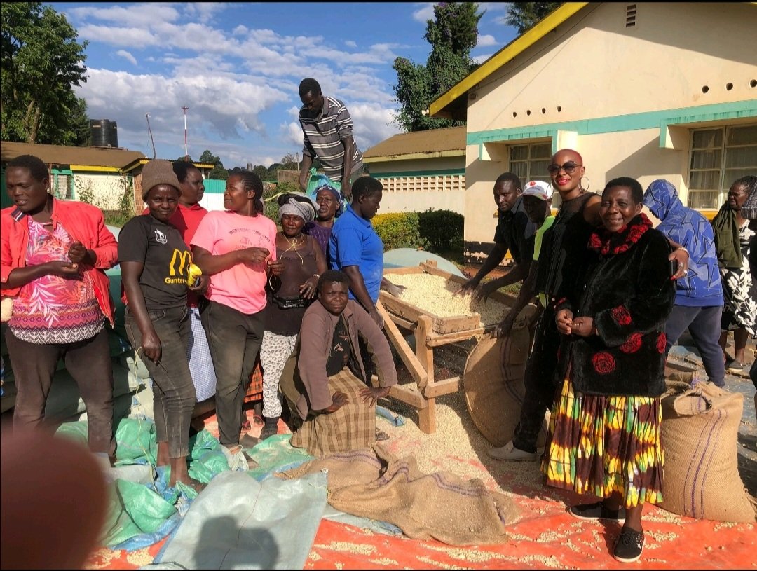 Mo Solutions Limited tweet media