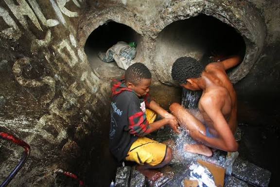 Pelourinho tweet media