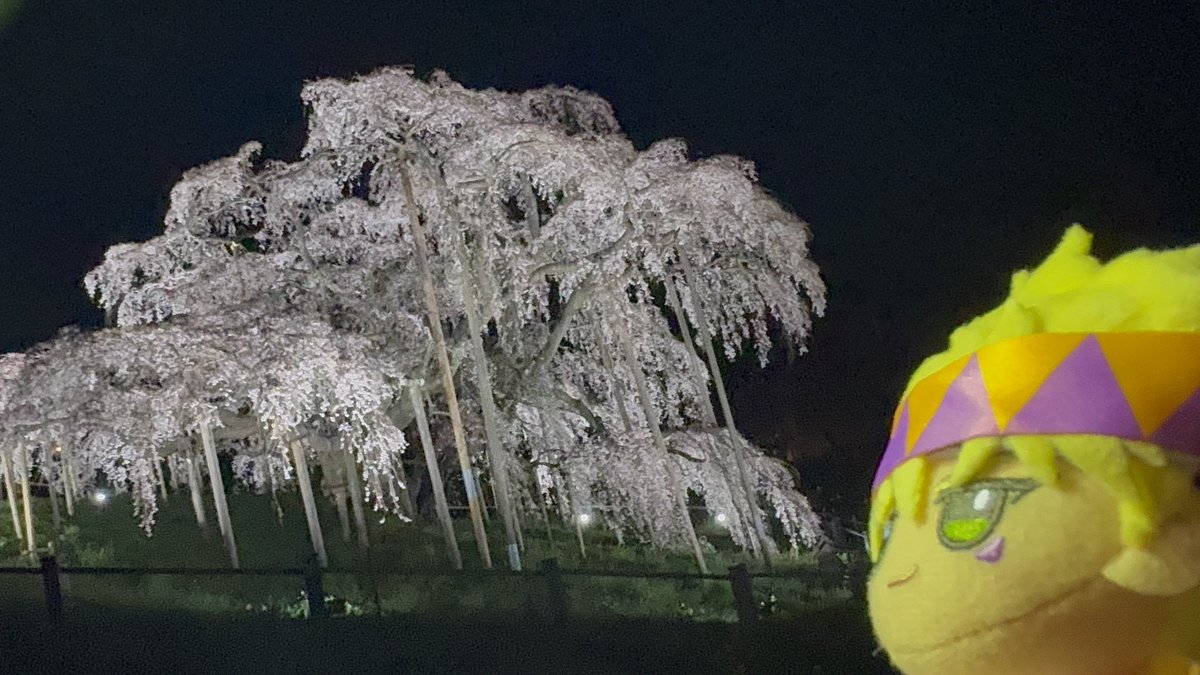 ざー。 tweet media