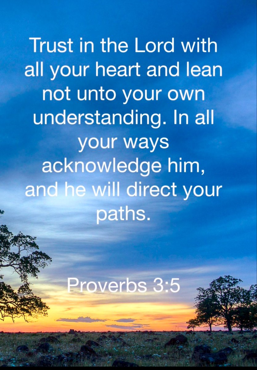 Jane Taggart🦋 (@janetaggart18) on Twitter photo 