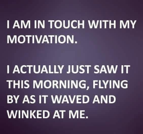 Duchess of Meme tweet media