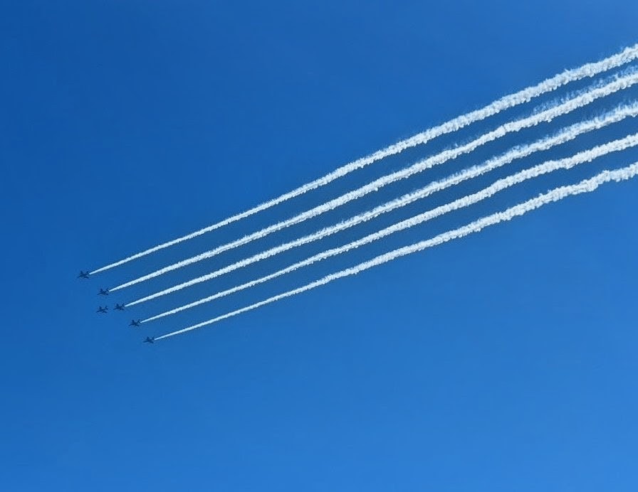 アミティエ tweet media