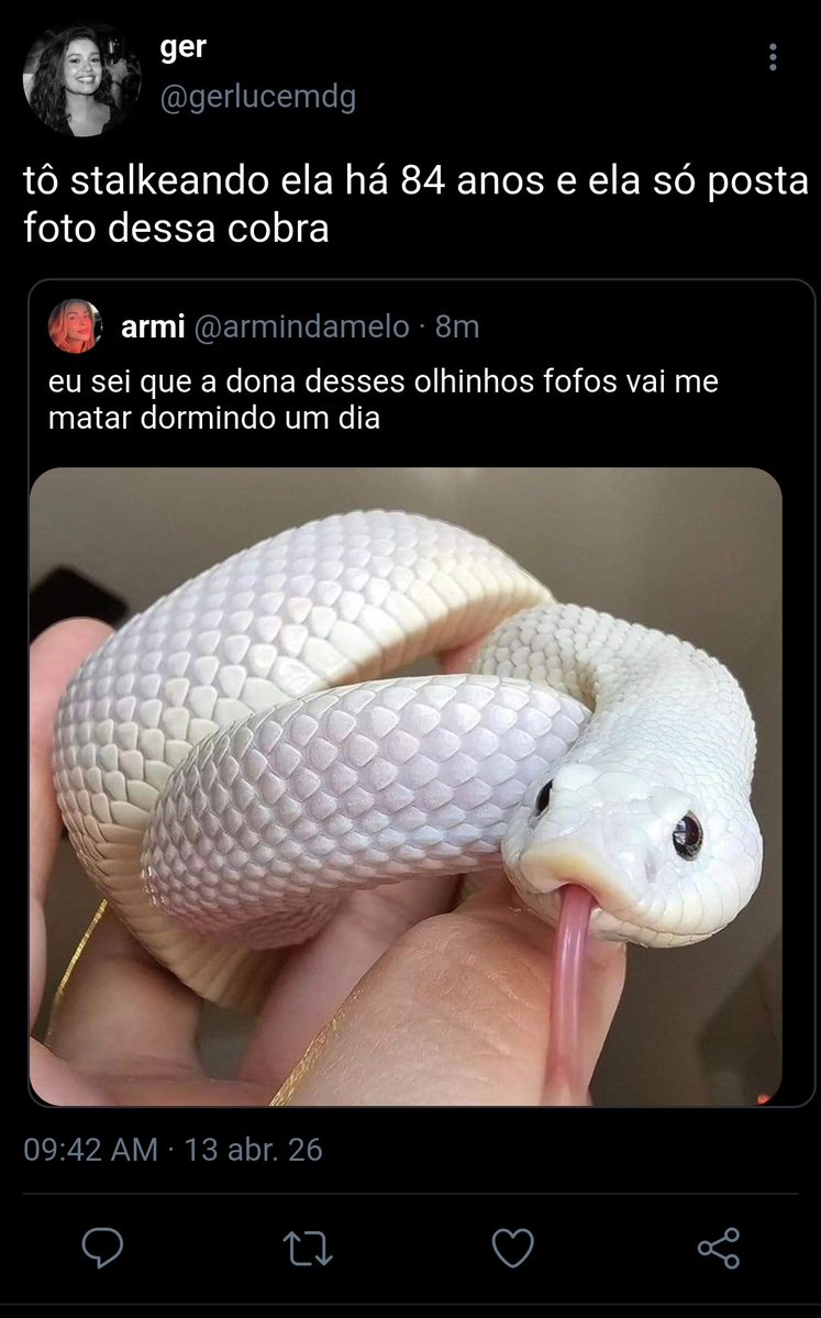 naomi ⚢ tweet media