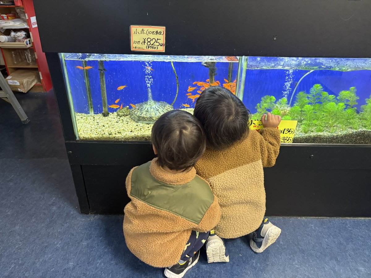 YuRiMu🌙ゆりむ tweet media