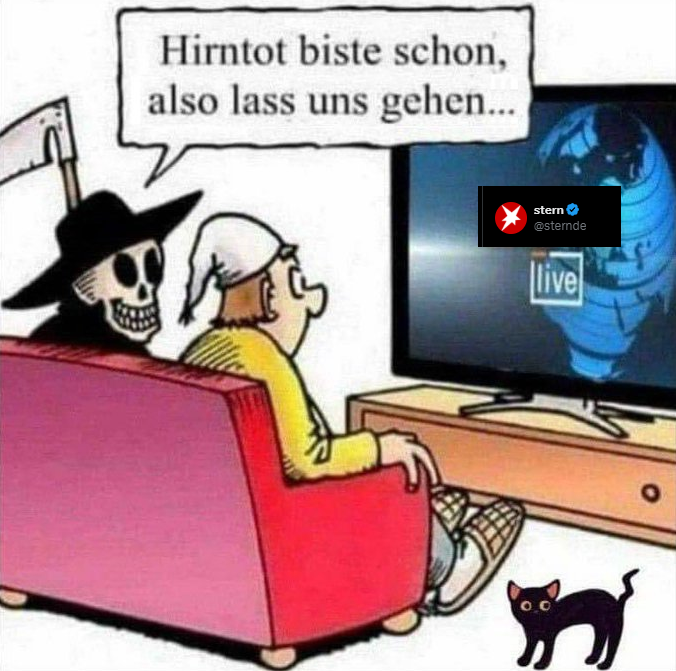 Mongo der Affe 🇩🇪 🇮🇱 tweet media